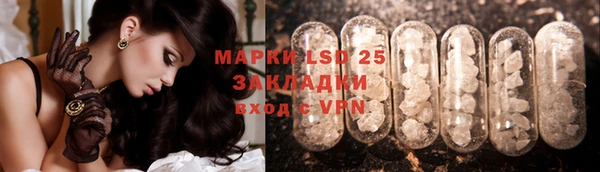 винт Аркадак