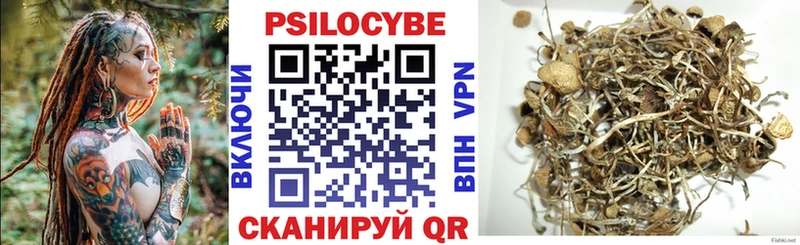 Псилоцибиновые грибы мицелий  Бабушкин 